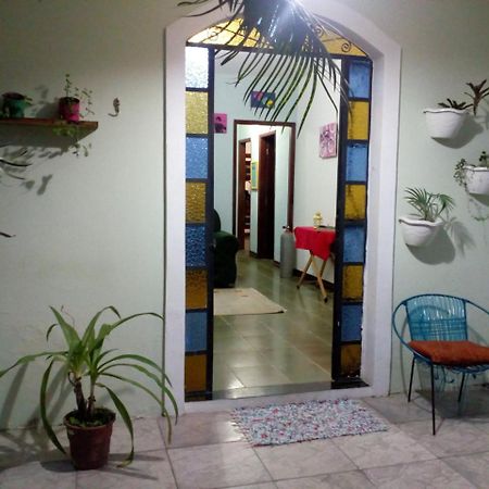 Nautilus Hostel 帕拉蒂 外观 照片
